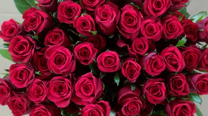Red rose bouquet