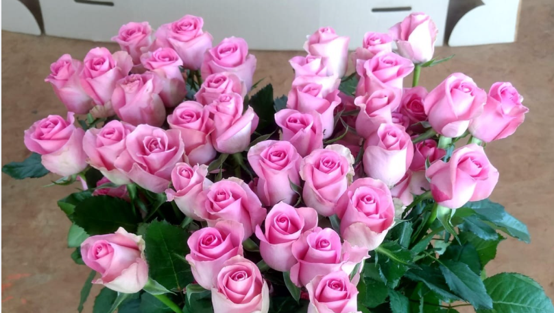 Pink rose bouquet