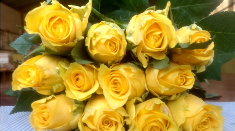 Yellow rose bouquet