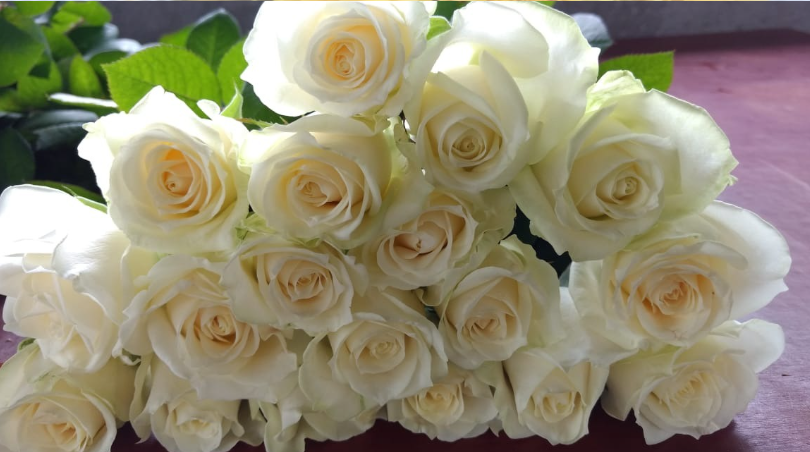White rose bouquet