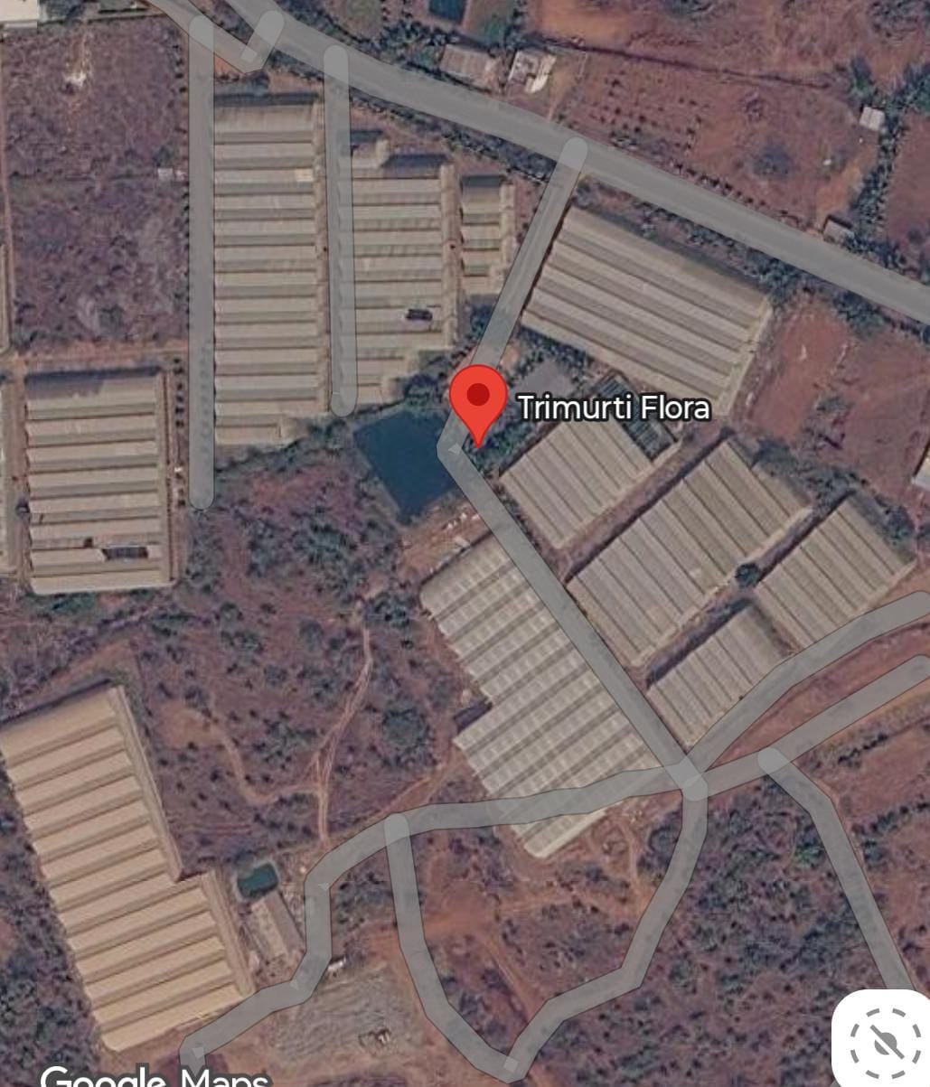 Trimurti Flora location on Google Maps